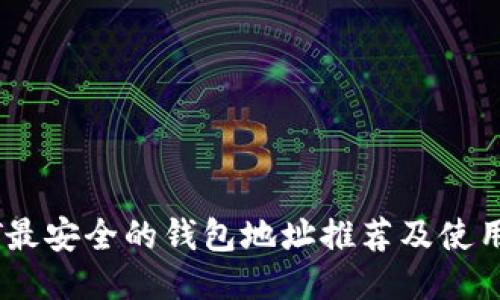 USDT最安全的钱包地址推荐及使用指南
