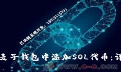 如何在麦子钱包中添加SOL代币：详细指南