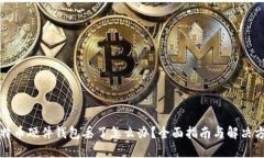 比特币硬件钱包丢了怎么办？全面指南与解决方